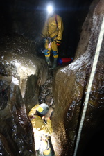 Thumbnail of photo from this article